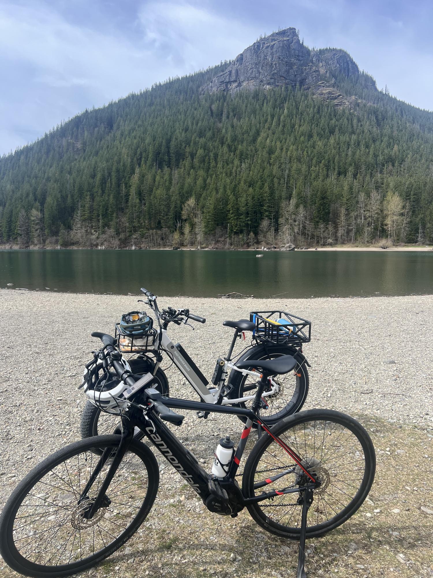 2023 Rad Power Bikes Rad Rover 6 Plus step through White