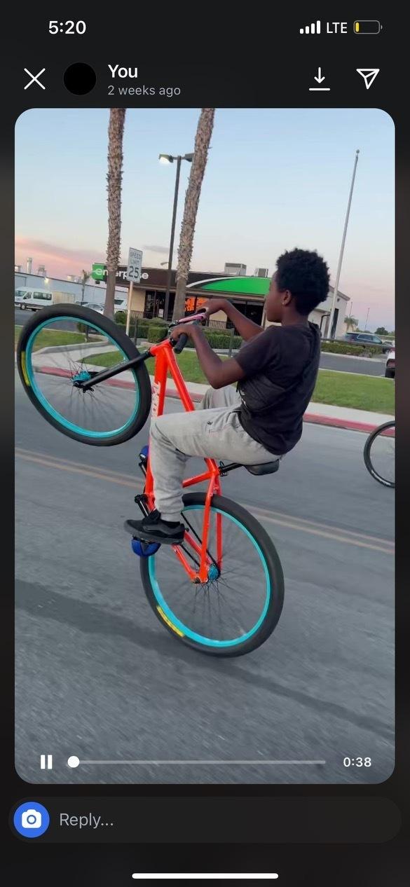 2024 Throne Cycles Orange palm Orange and Teal