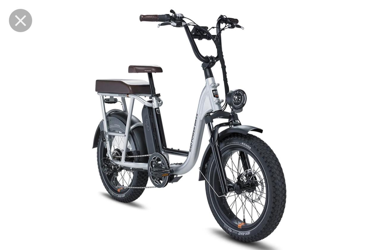 2019 Rad Power Bikes RadRunner Plus Silver, gray or bare metal