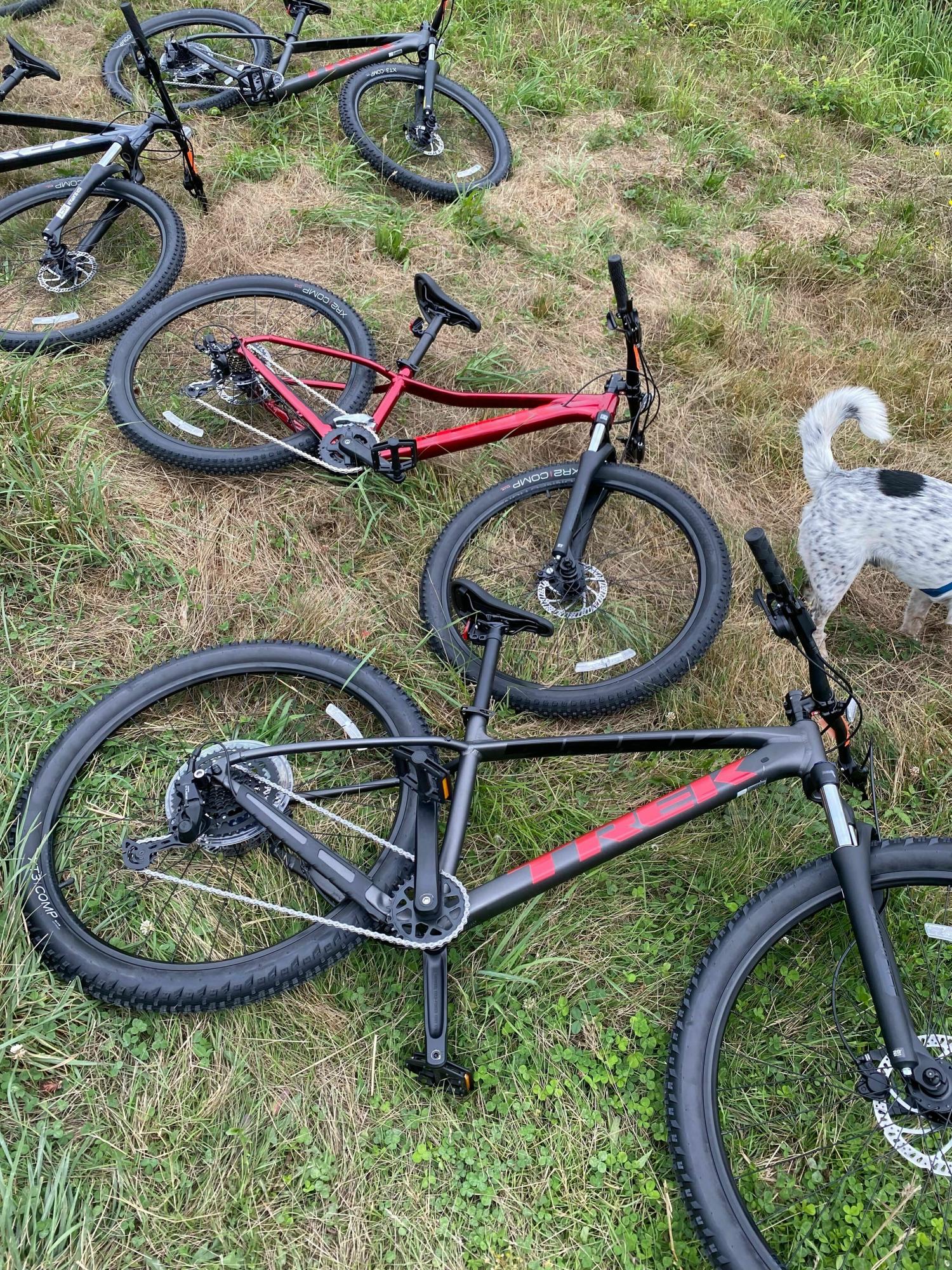 2024 Trek Marlin 5 Silver, gray or bare metal and Red