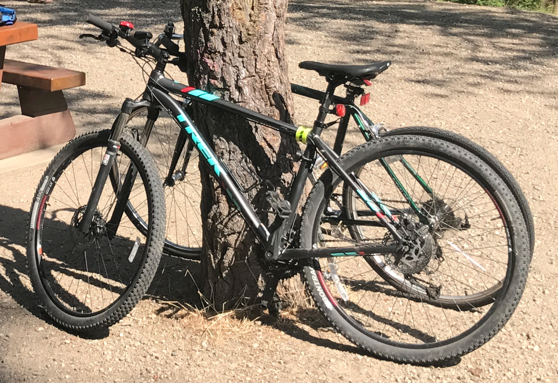 2016 Trek Black