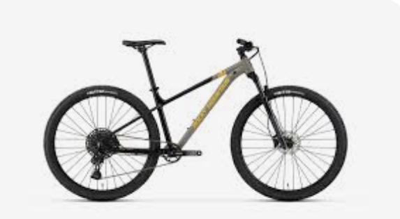 2021 Rocky Mountain Bicycles Fusion 40 Silver, gray or bare metal