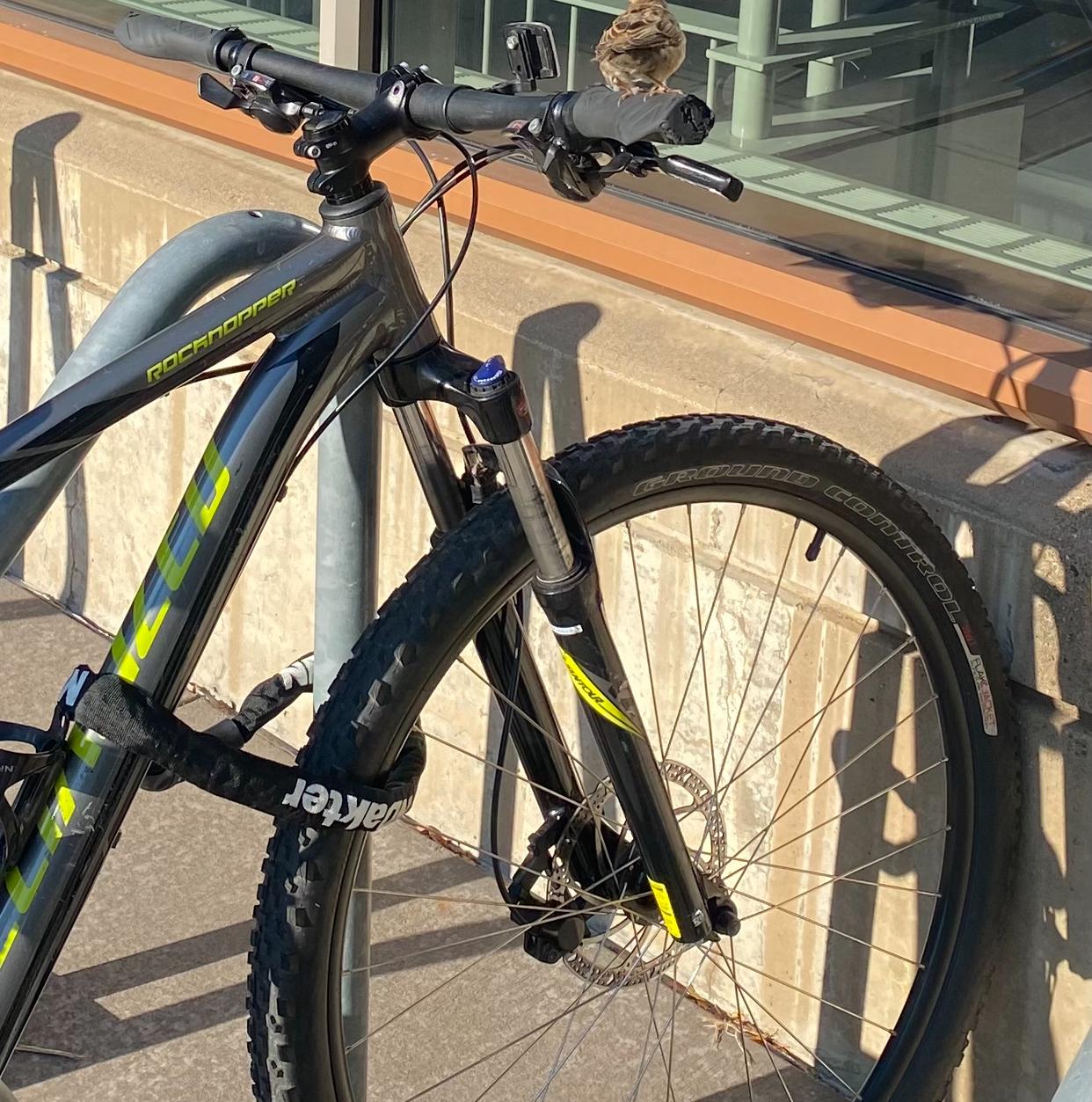 2014 Specialized Rockhopper 29 Silver, gray or bare metal and Green