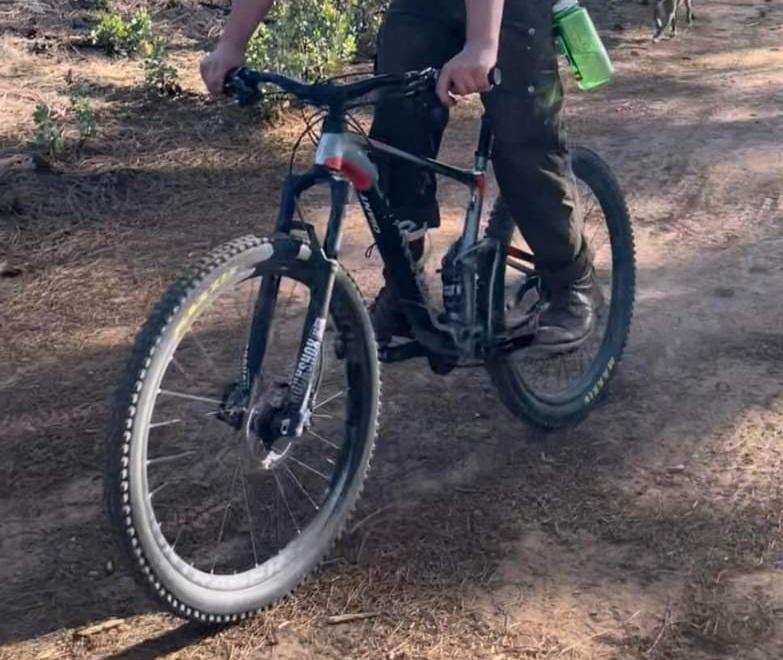 2017 Giant Anthem 27.5 Silver, gray or bare metal, Black, and Orange