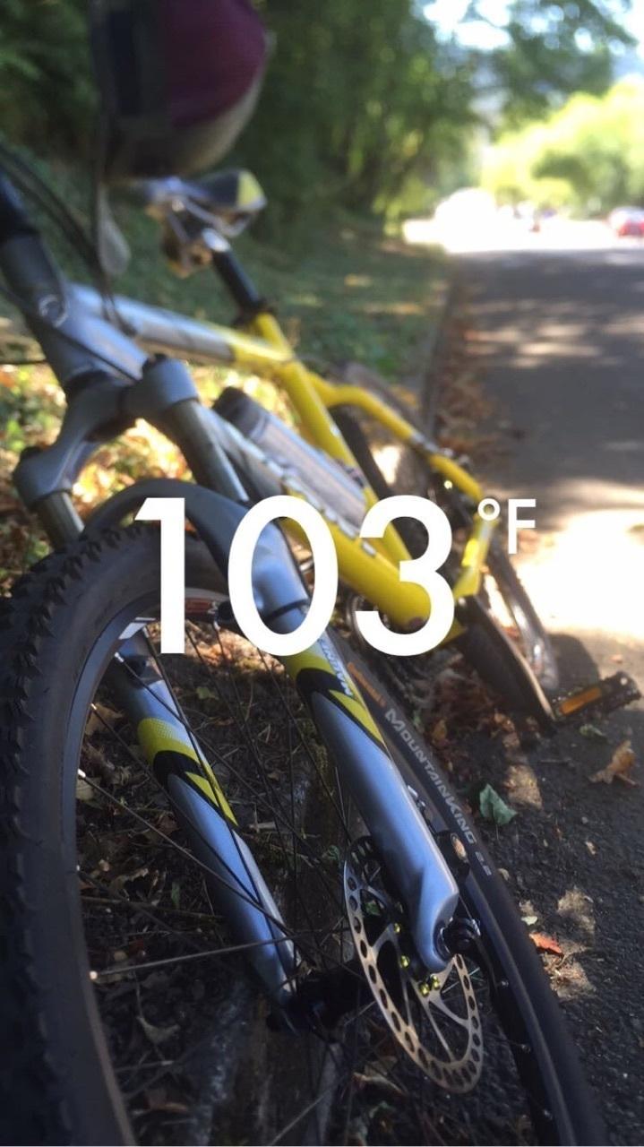 2005 Giant yukon Yellow or Gold