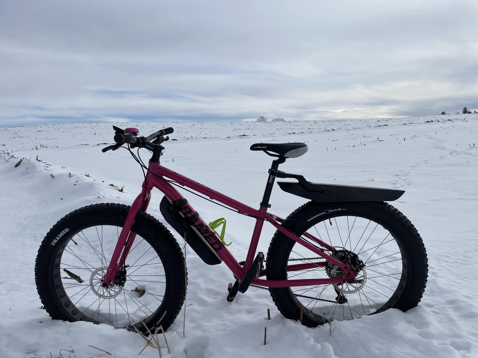 2020 FRAMED Minnesota Fat Bike Pink