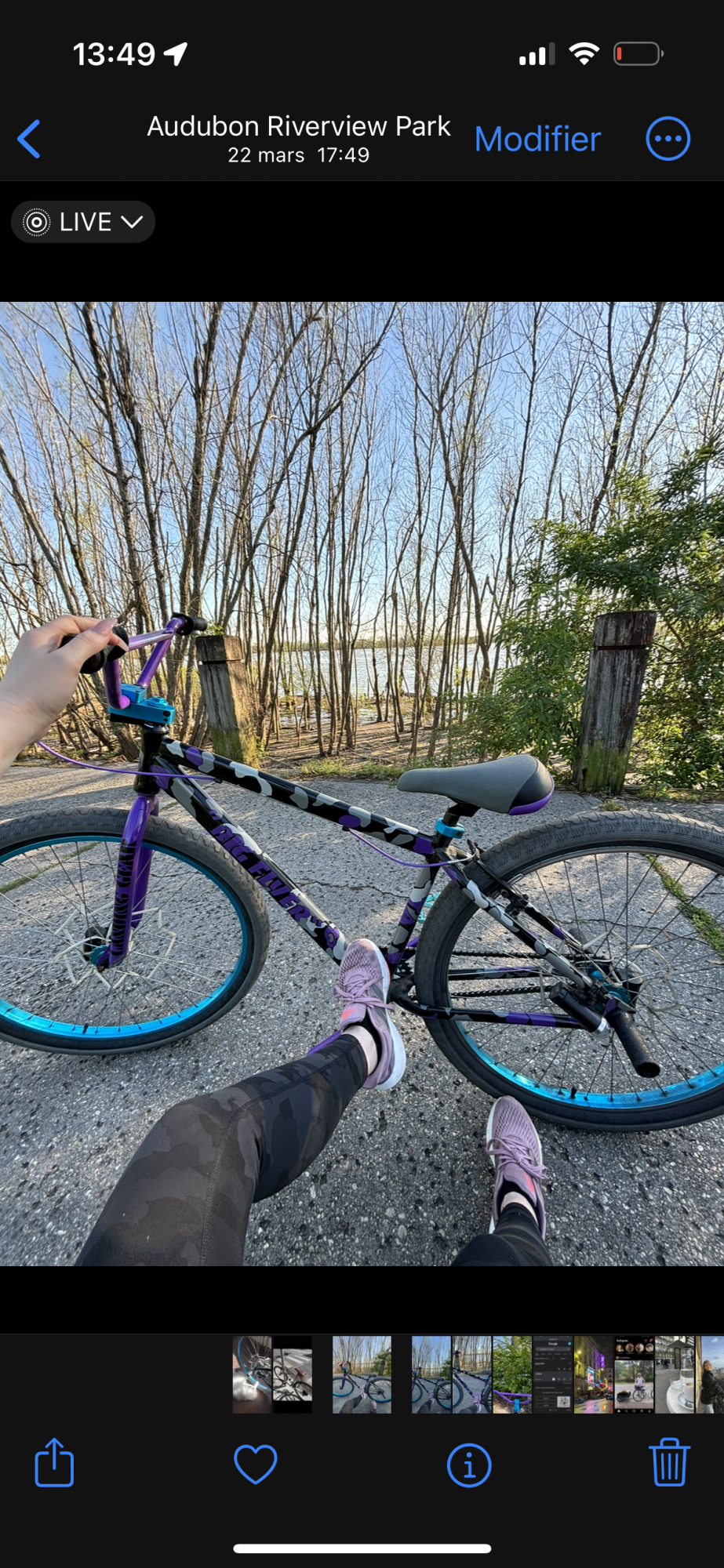 2024 SE Bikes Big Flyer Purple, Silver, gray or bare metal, and Black