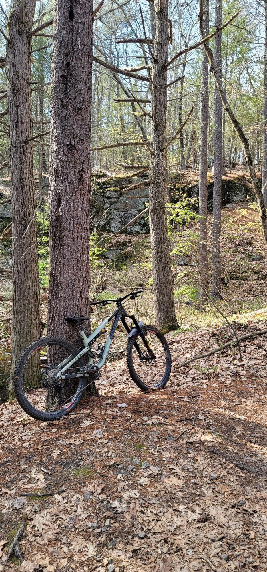 2021 Commencal Bikes Meta AM Ohlins edition Green and Black