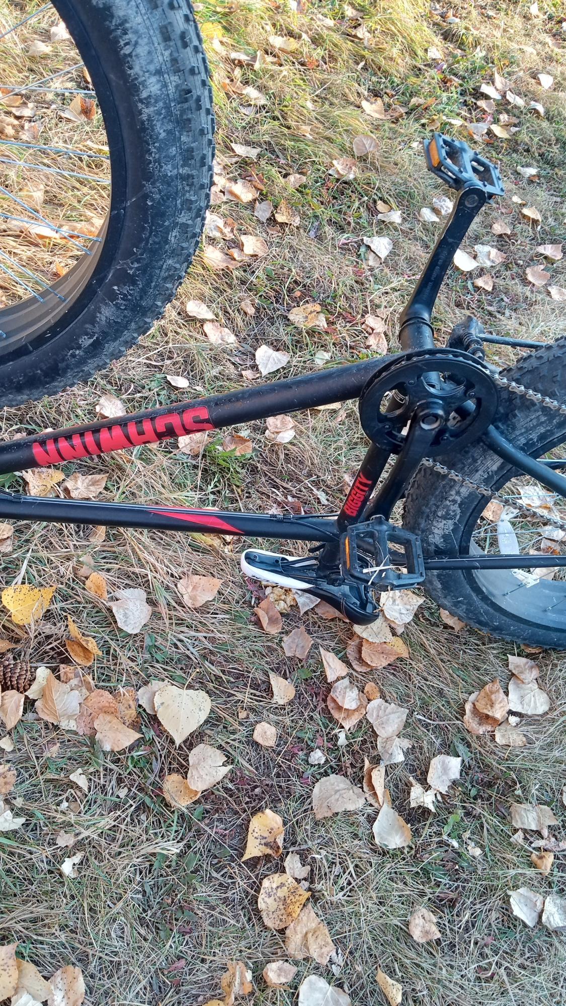 Schwinn BIGGITY Black