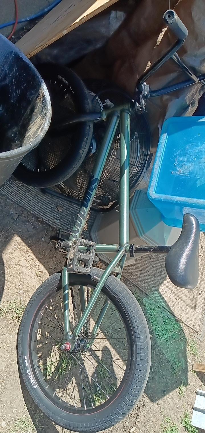 2022 Sunday Scout Green