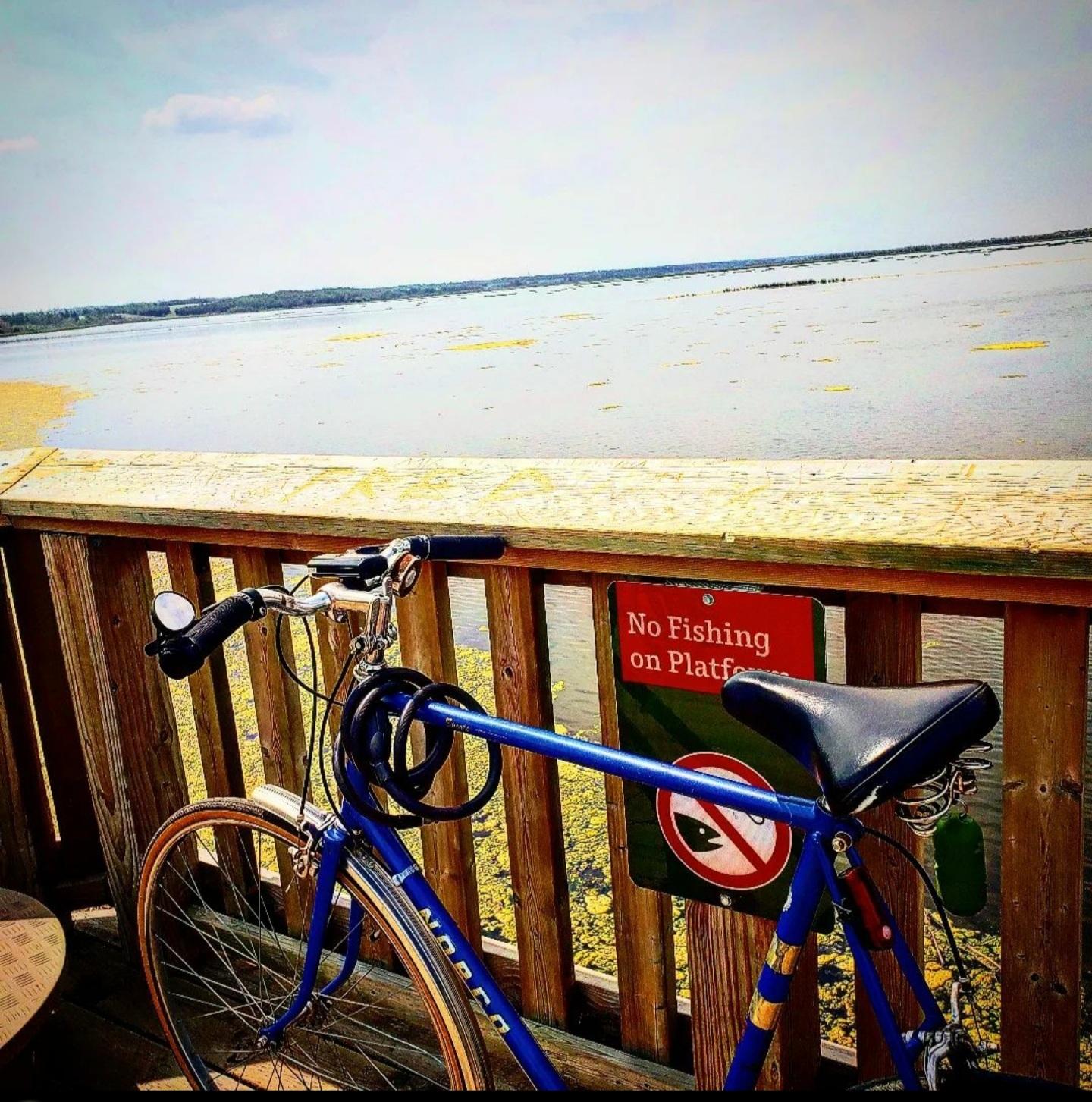 1970 Norco Bikes Norco sport mens Blue