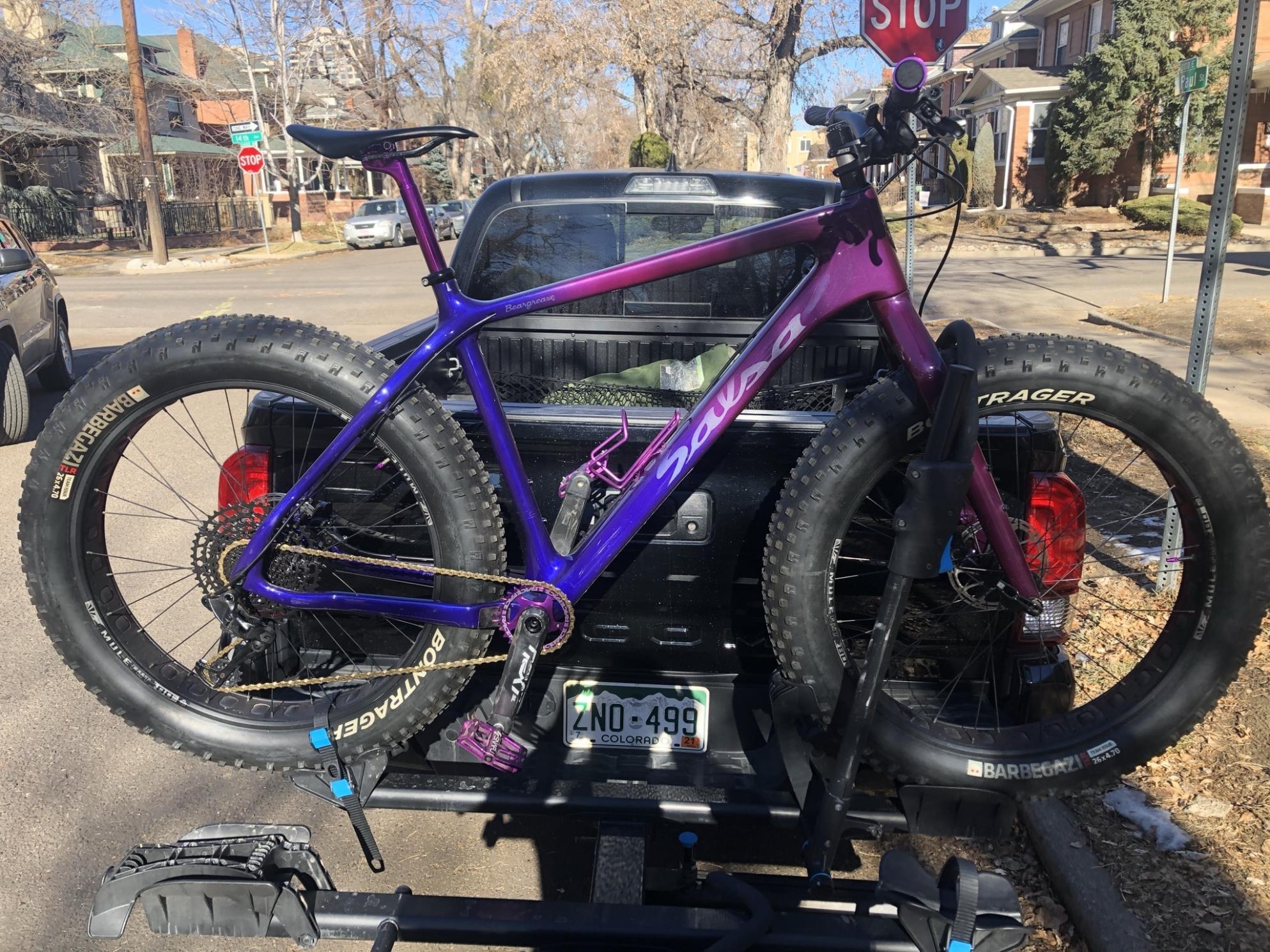 Salsa Beargrease Purple