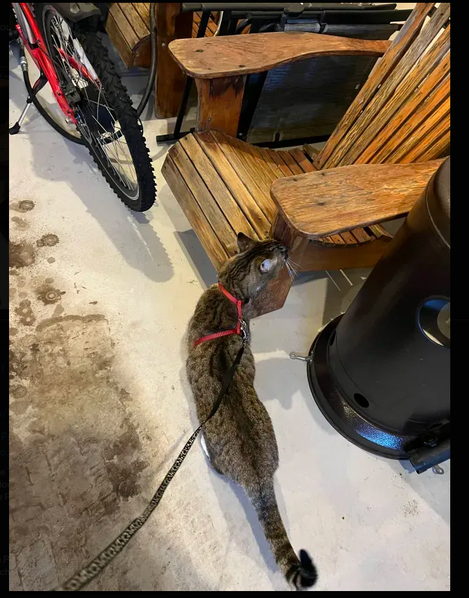 2020 Vermont d-drive Red