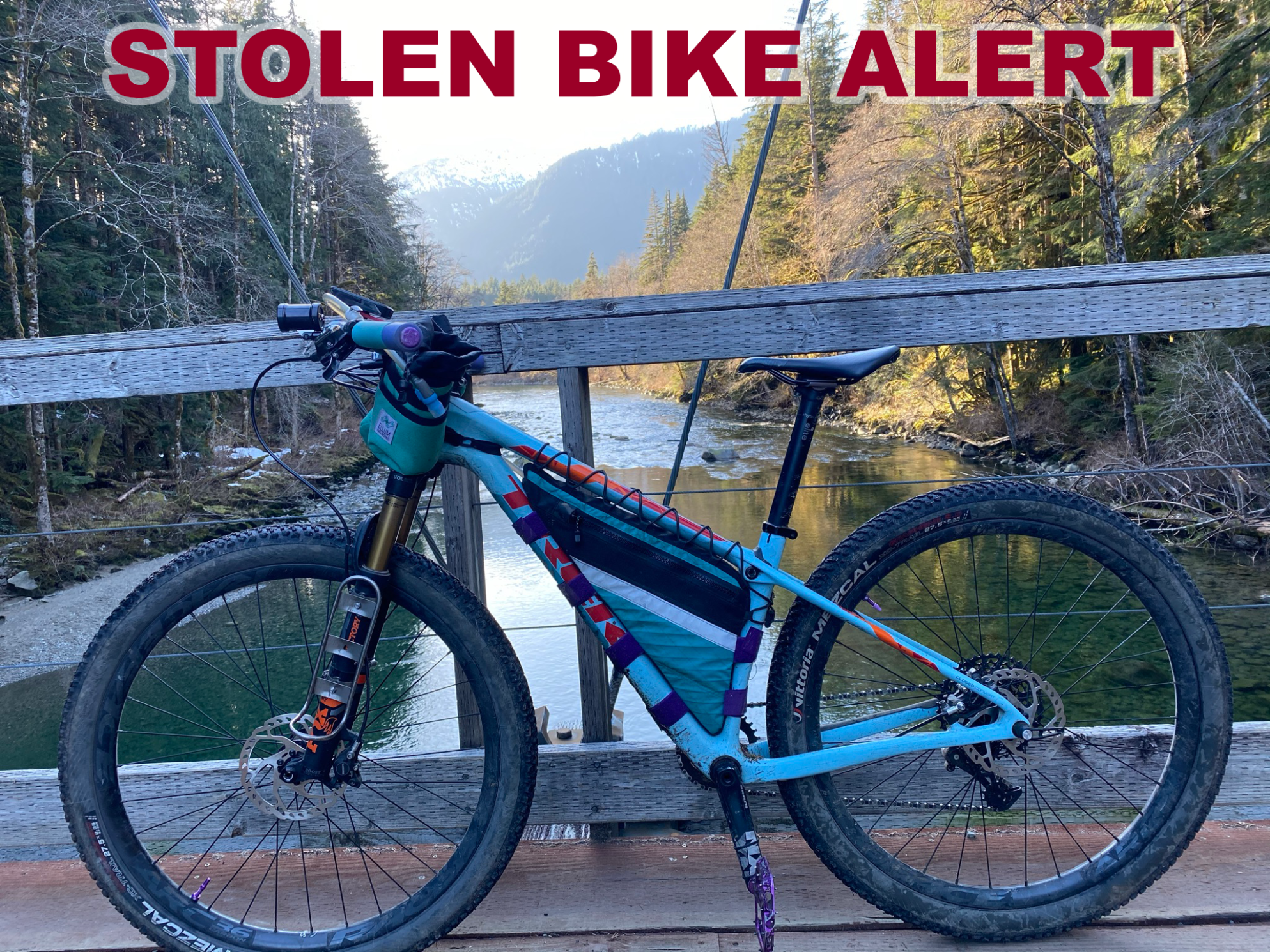 2019 Trek Procaliber Blue