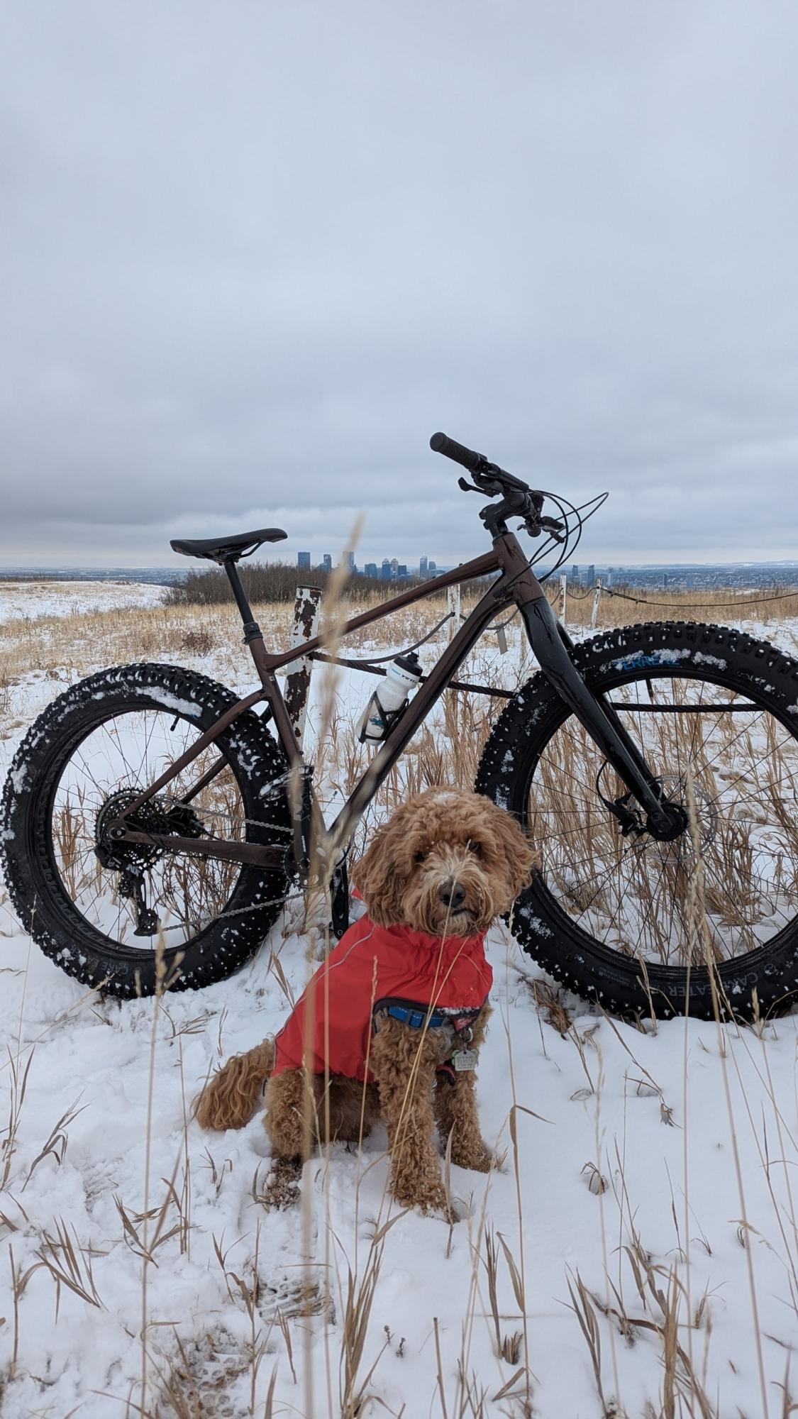 2025 Giant Yukon 1 Brown