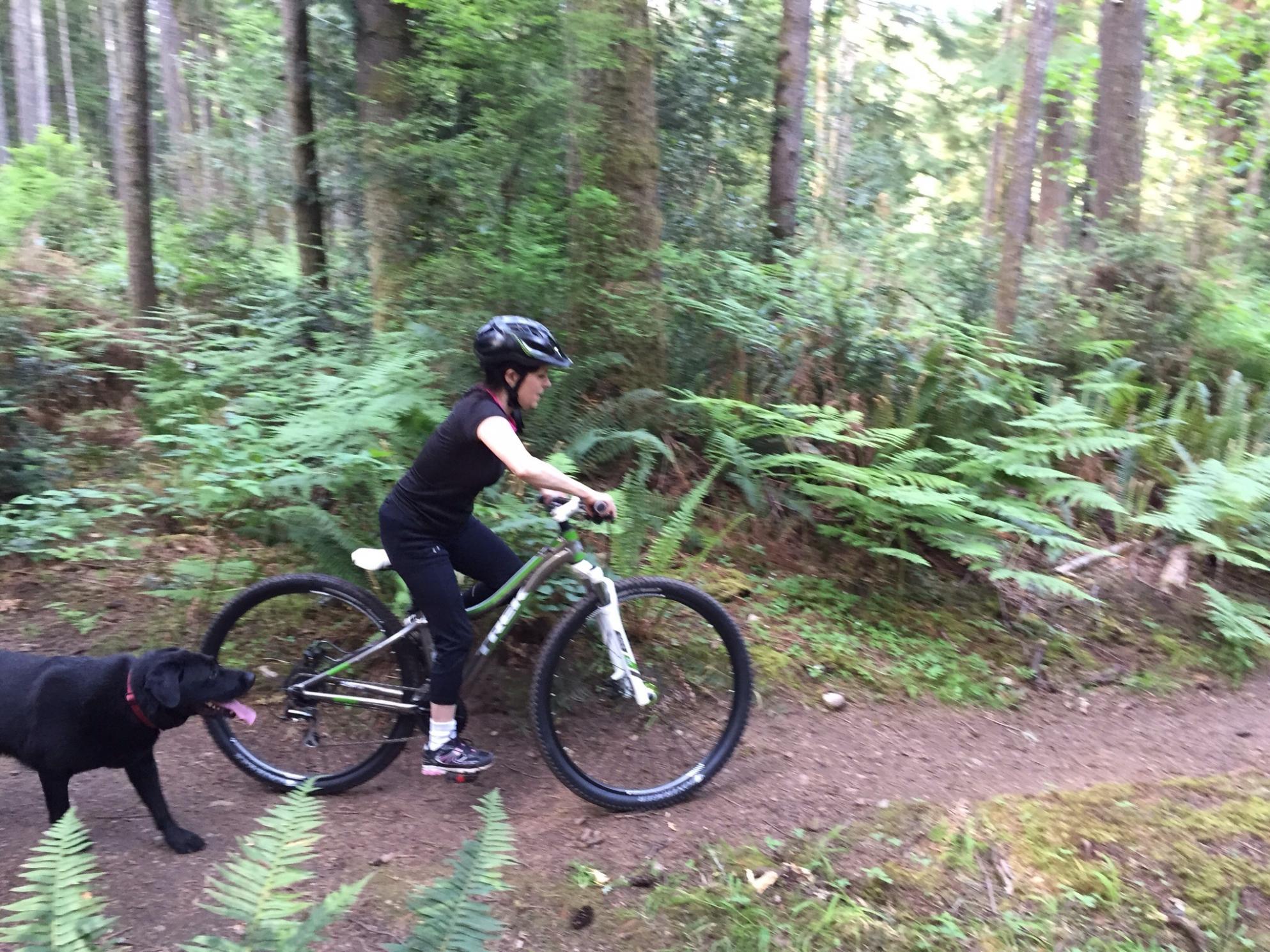 2015 Trek X-Caliber 5 14.5 Silver or Gray