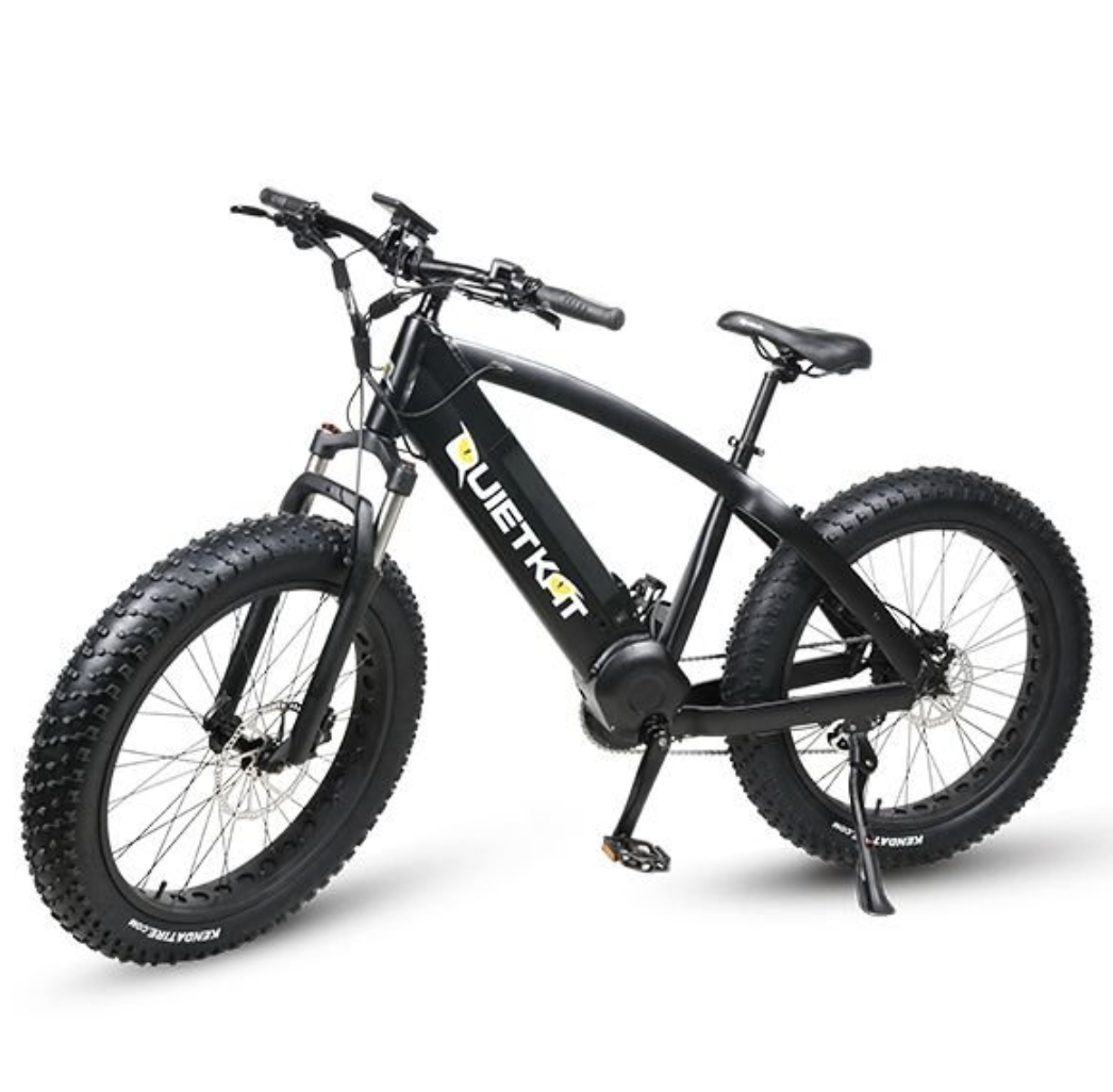 2019 Quiet Cat Warrior Black