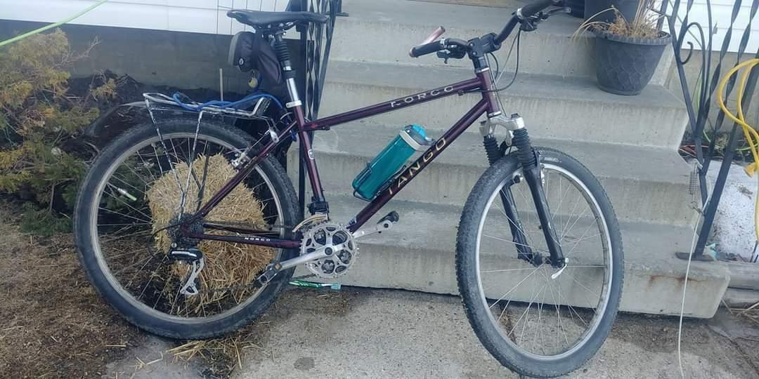 Norco Bikes Tango Red and Yellow or Gold