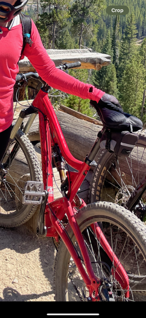 Santa Cruz SMALL Red