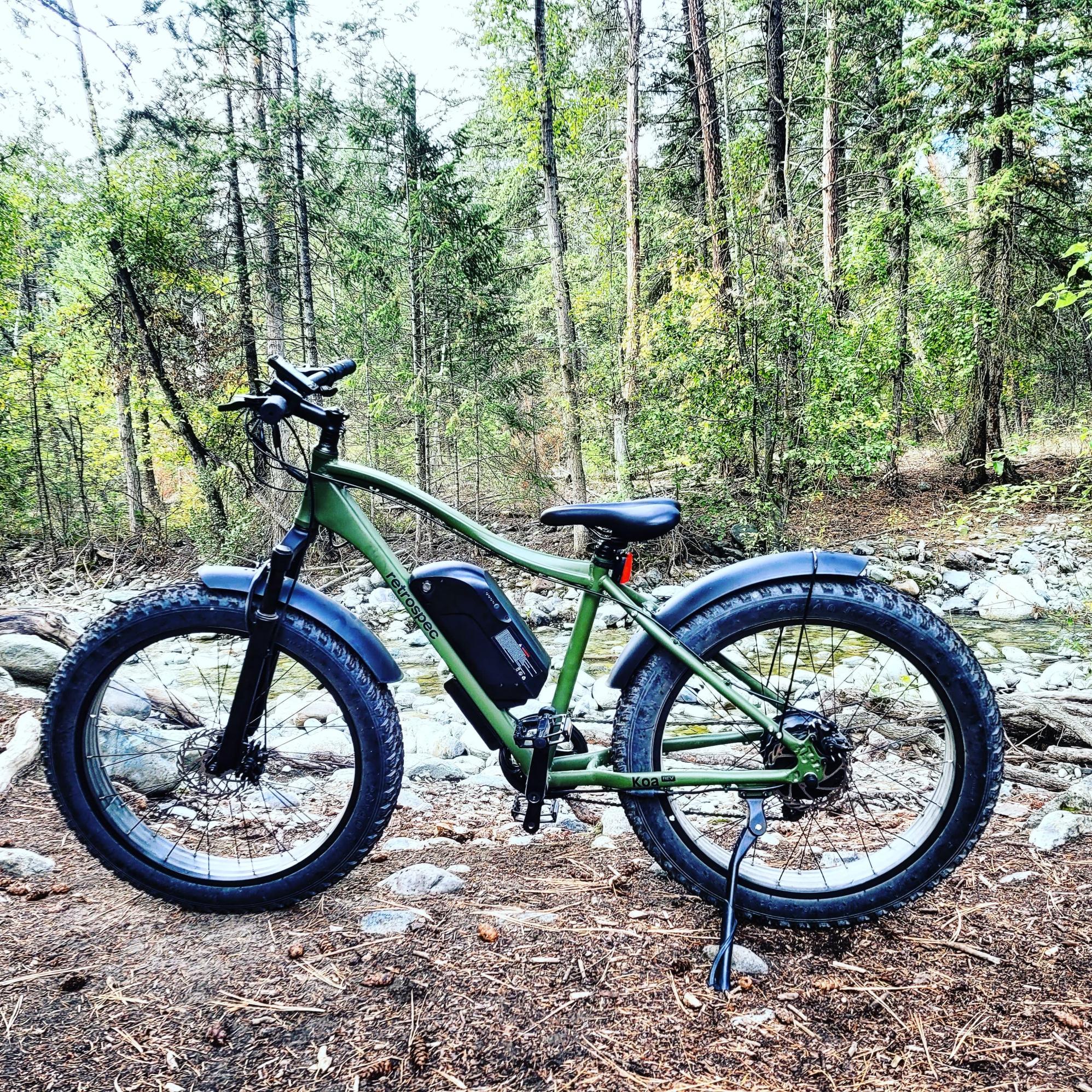 2022 Retrospec Koa Rev Green