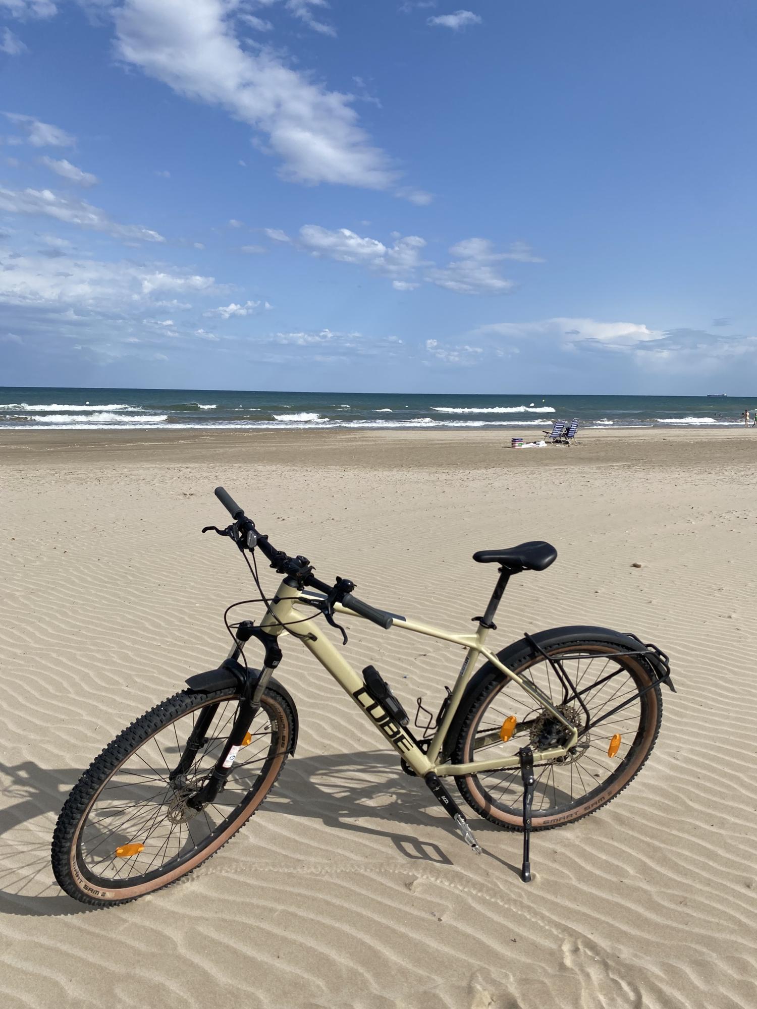 2022 Cube Aim Ex XL Brown