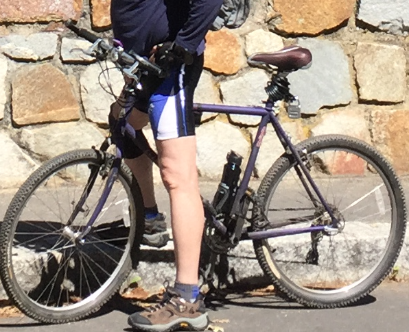 1997 Trek 850 Cro-Moly Purple