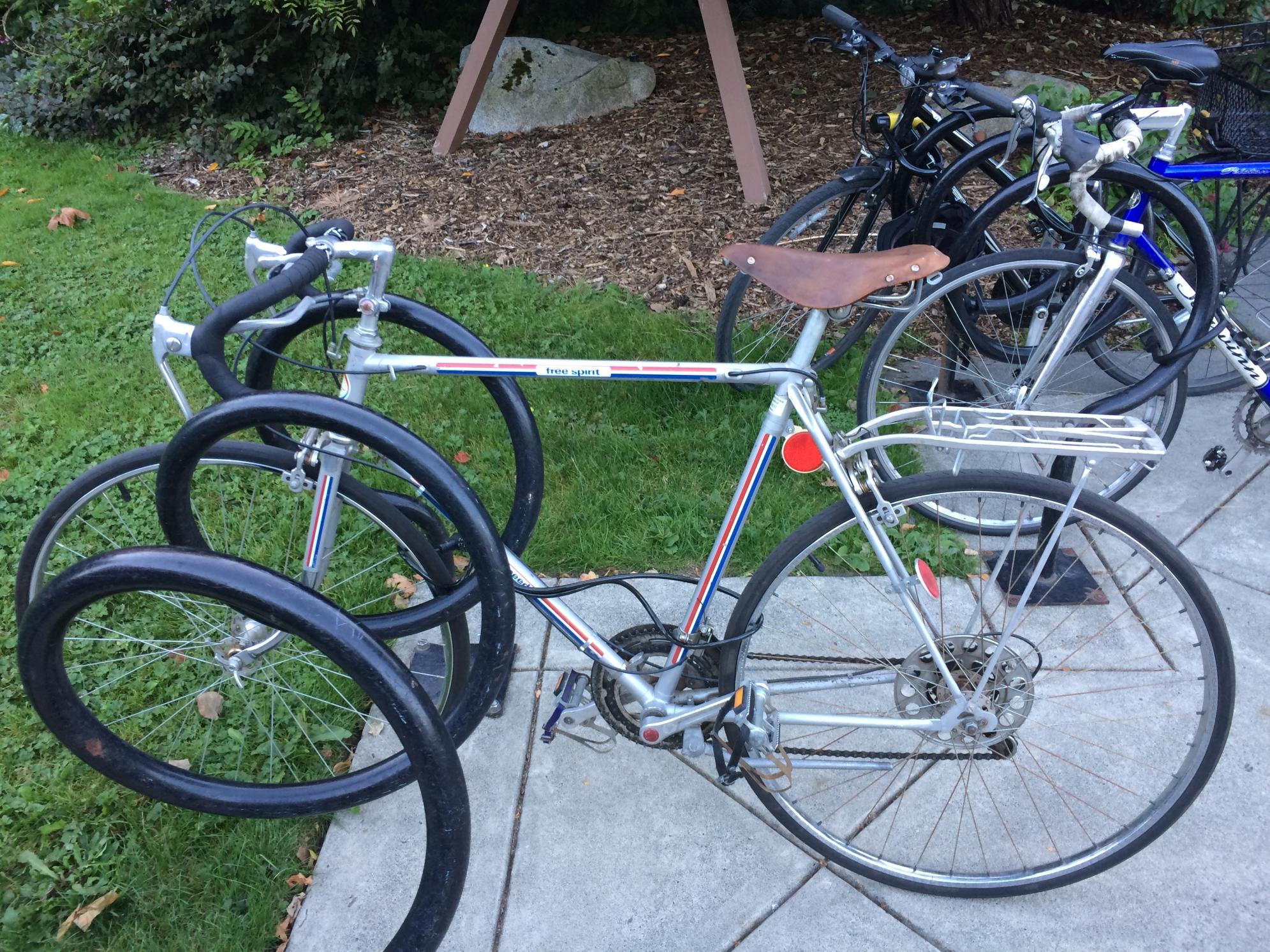 Free Spirit Silver, gray or bare metal