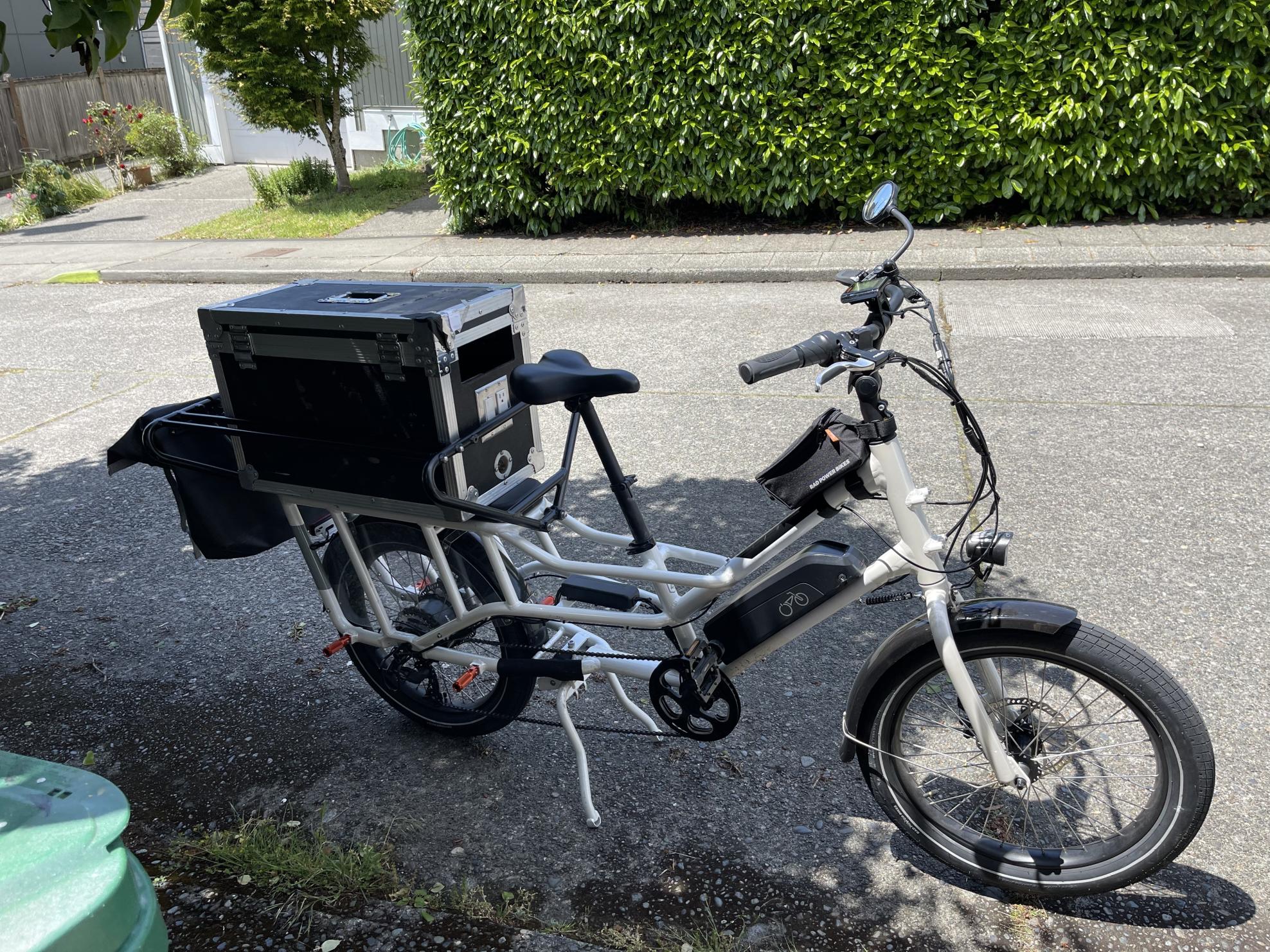 2021 Rad Power Bikes Rad wagon White