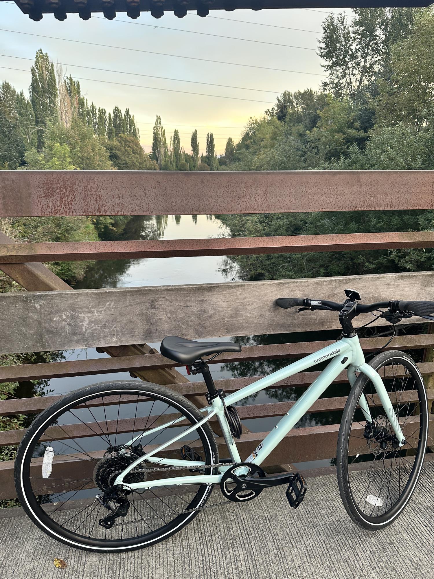 2024 Cannondale Blue