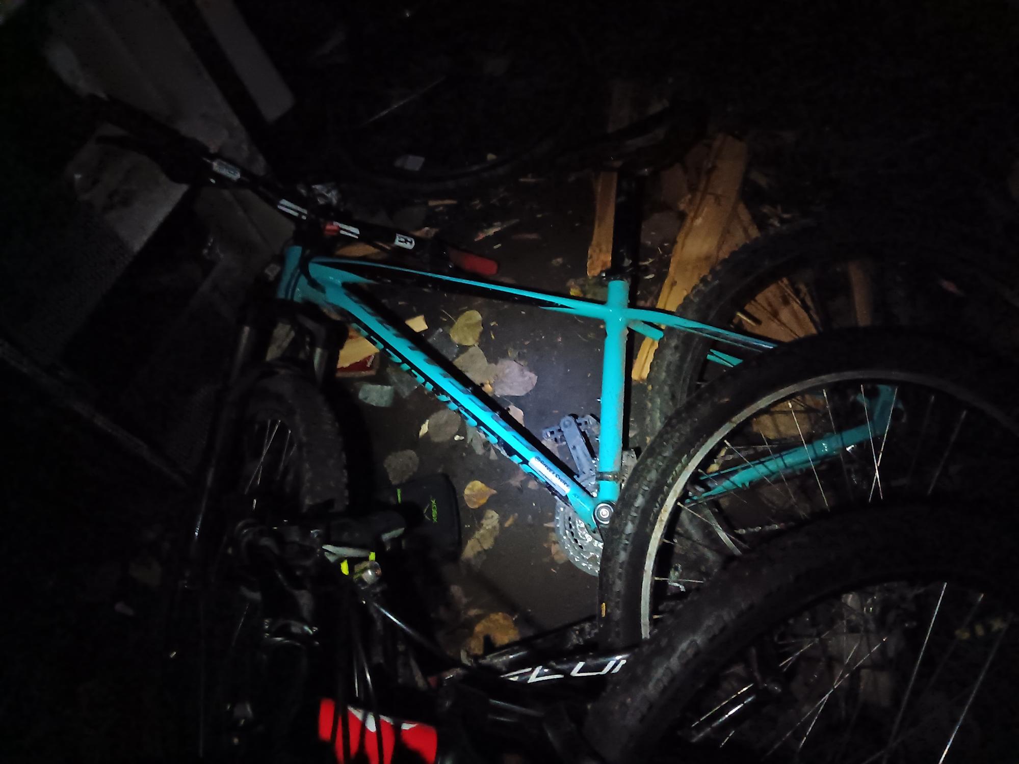 Specialized Pitch Pro Teal and Black