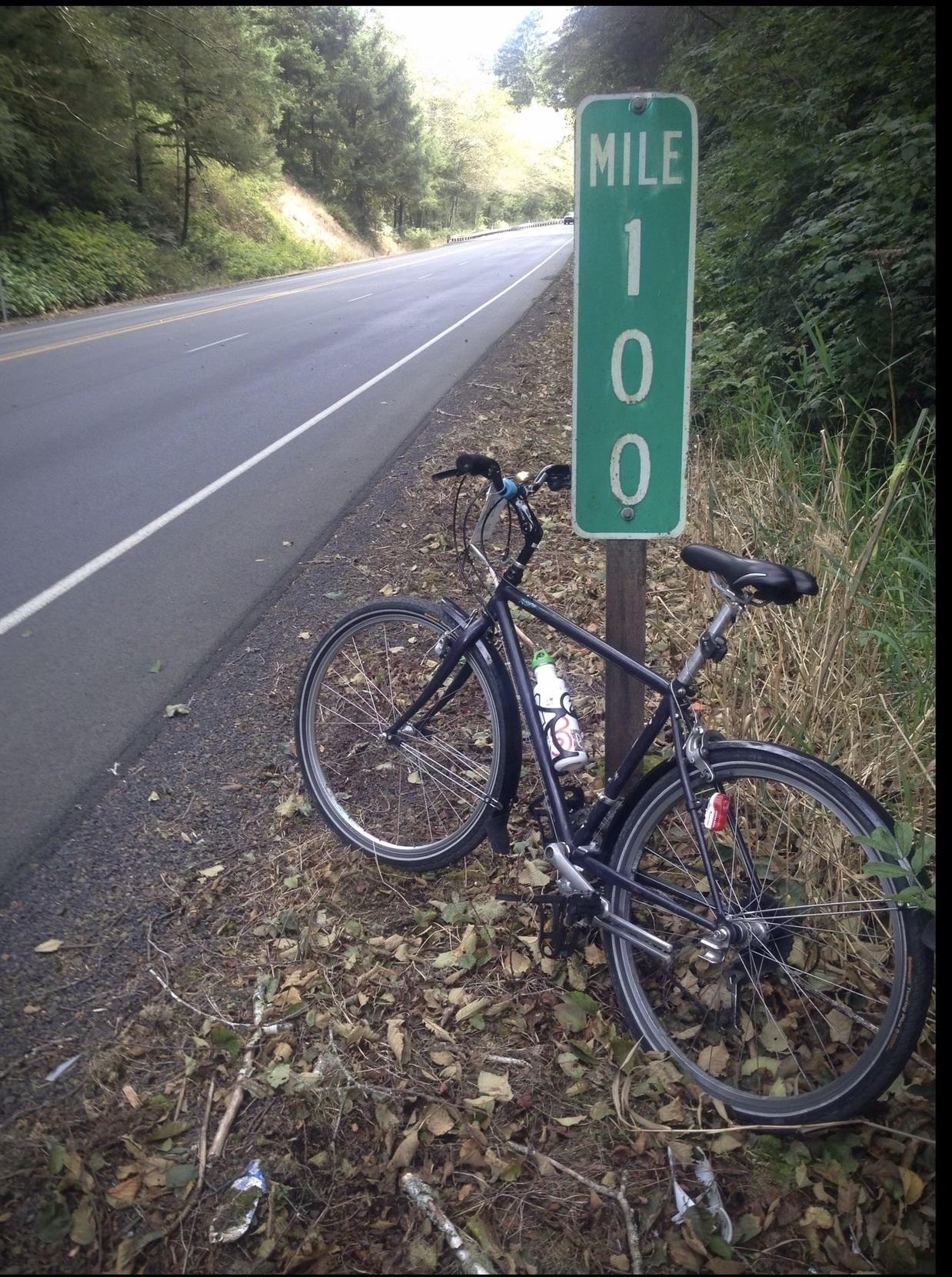 1991 Rocky Mountain Bicycles Fusion Purple