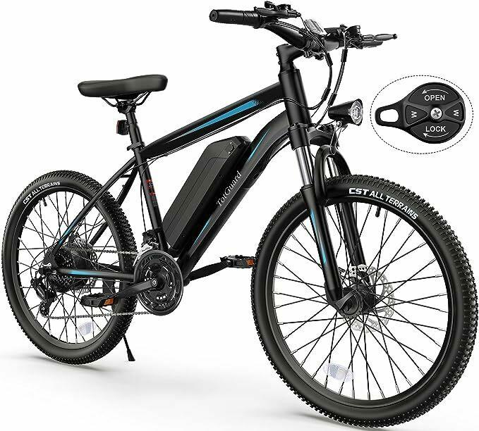 2023 TotGuard E-Bike Black