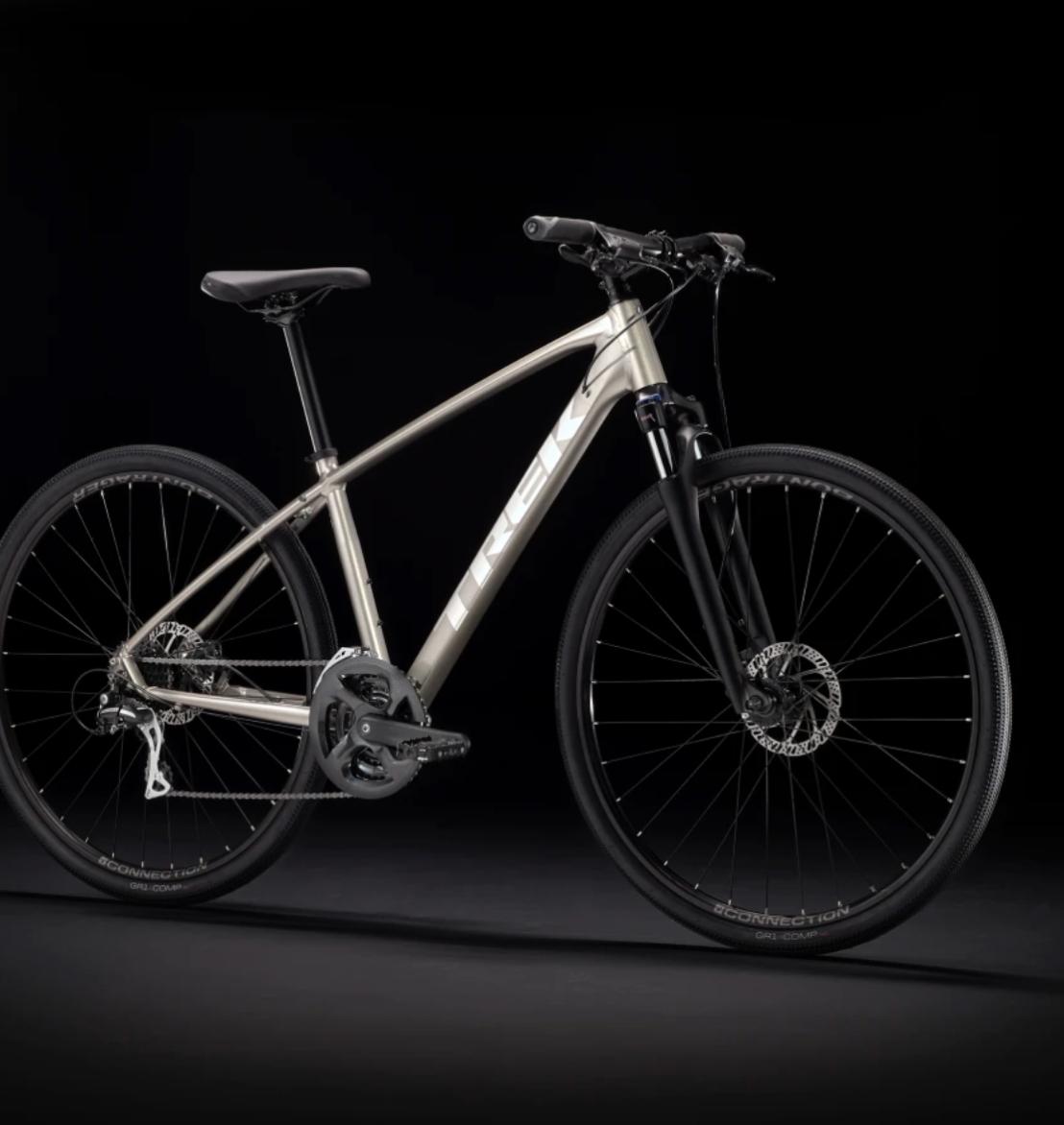 2021 Trek Dual Sport 2 WSD Silver, gray or bare metal