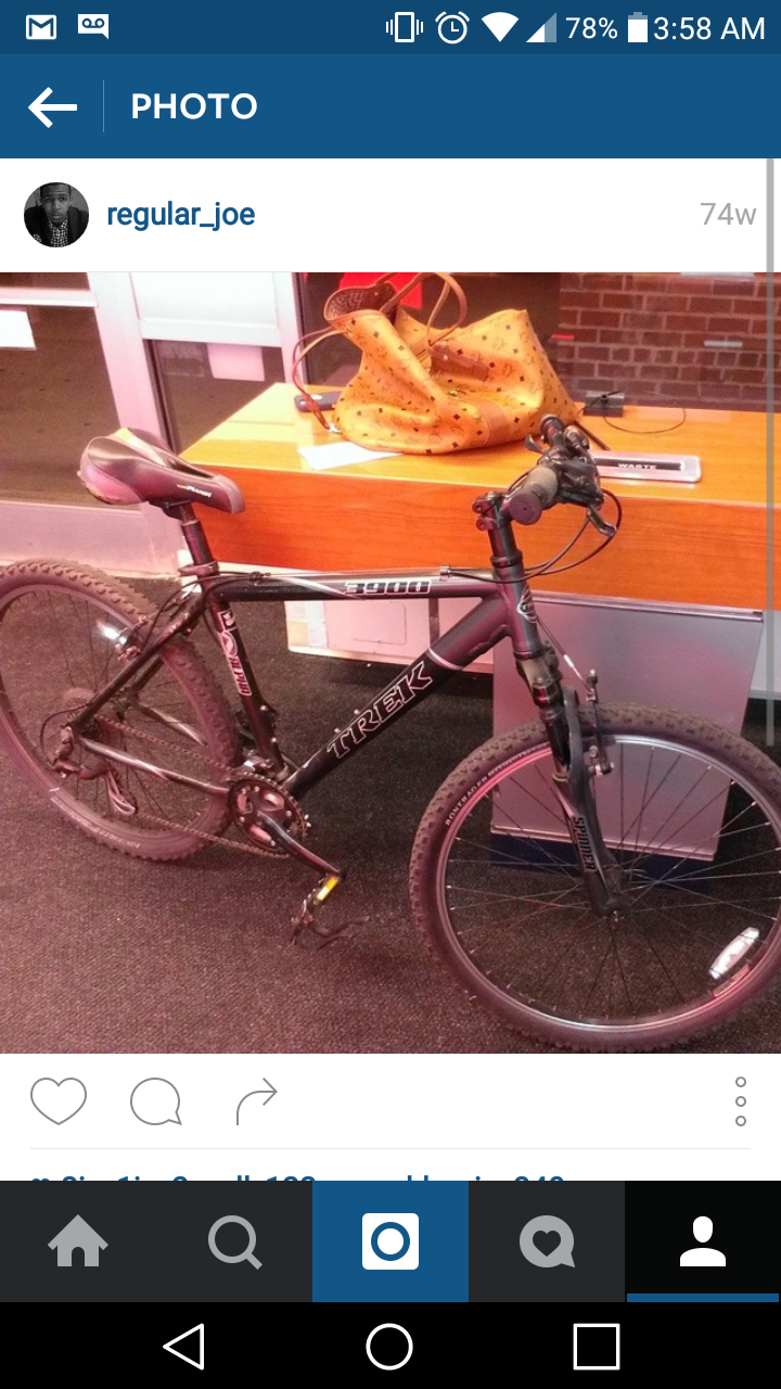 Trek 3900 Silver or Gray