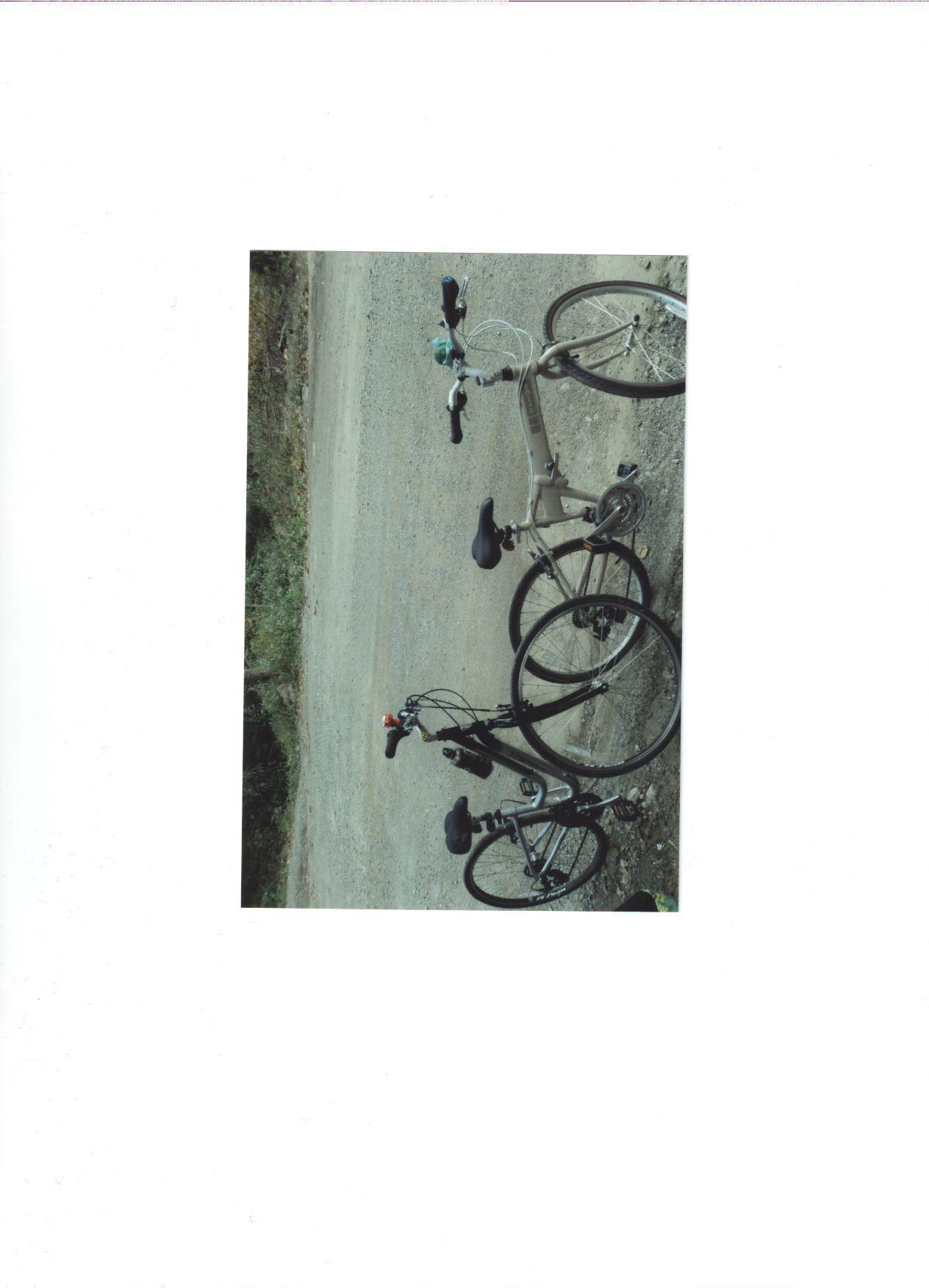 2010 Dahon Espresso  Black