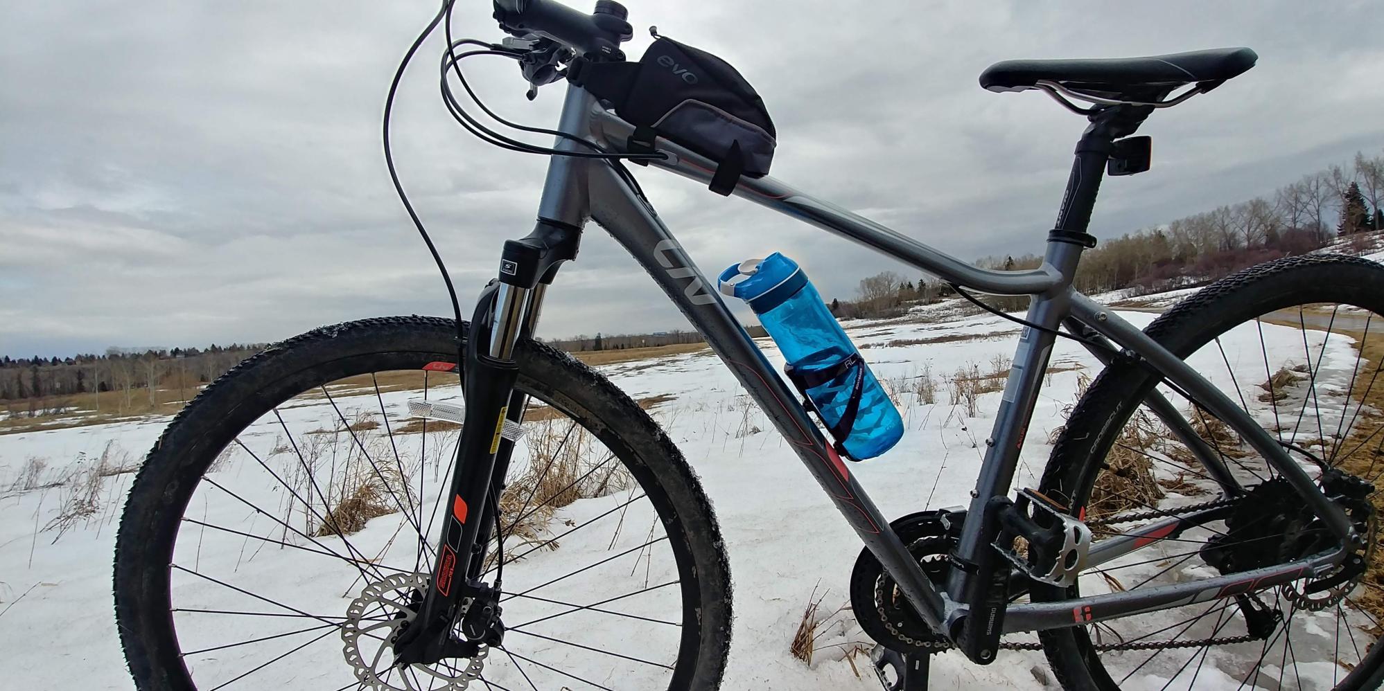 Giant Rove 2 Silver, gray or bare metal