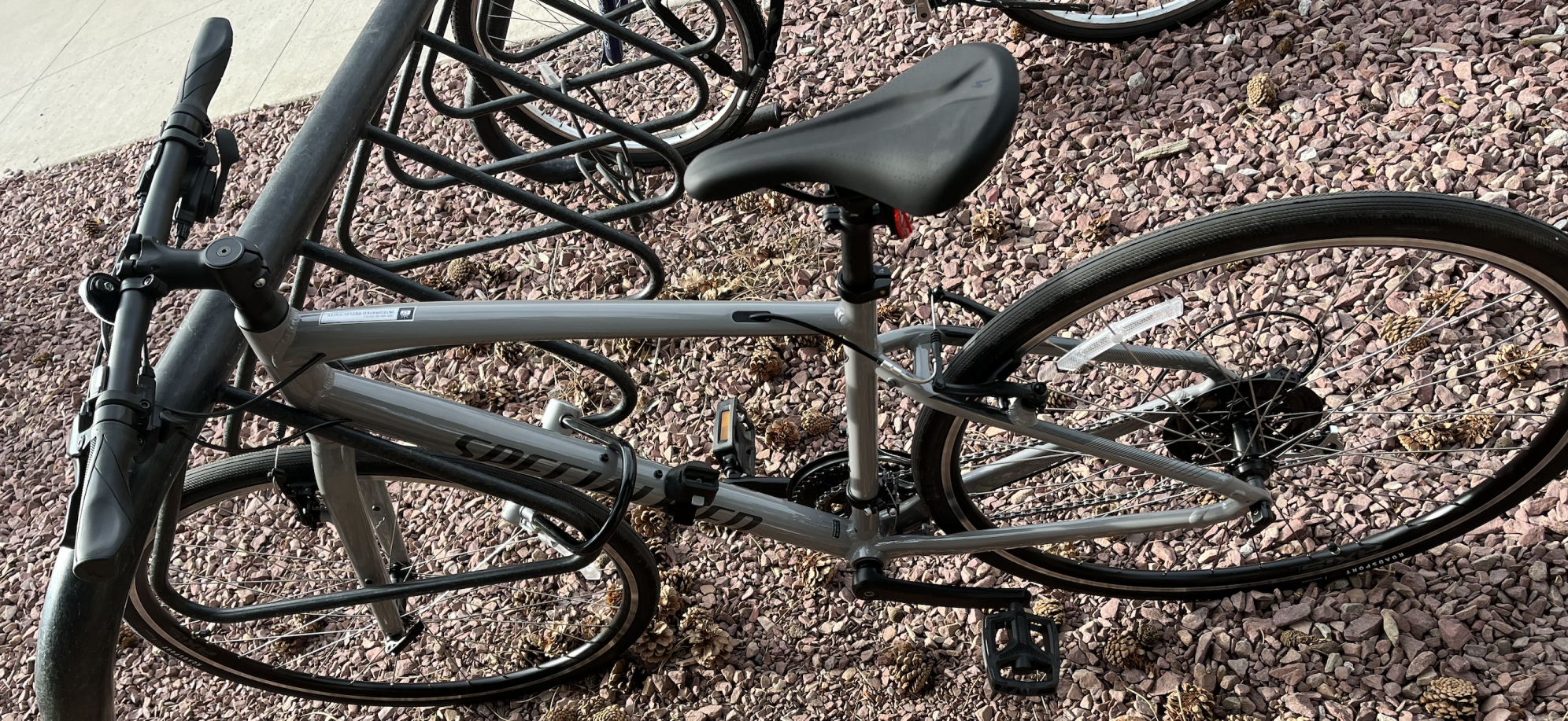 2024 Specialized Sirrus 1.0 MD Gloss Cool Grey / Smoke Silver, gray or bare metal