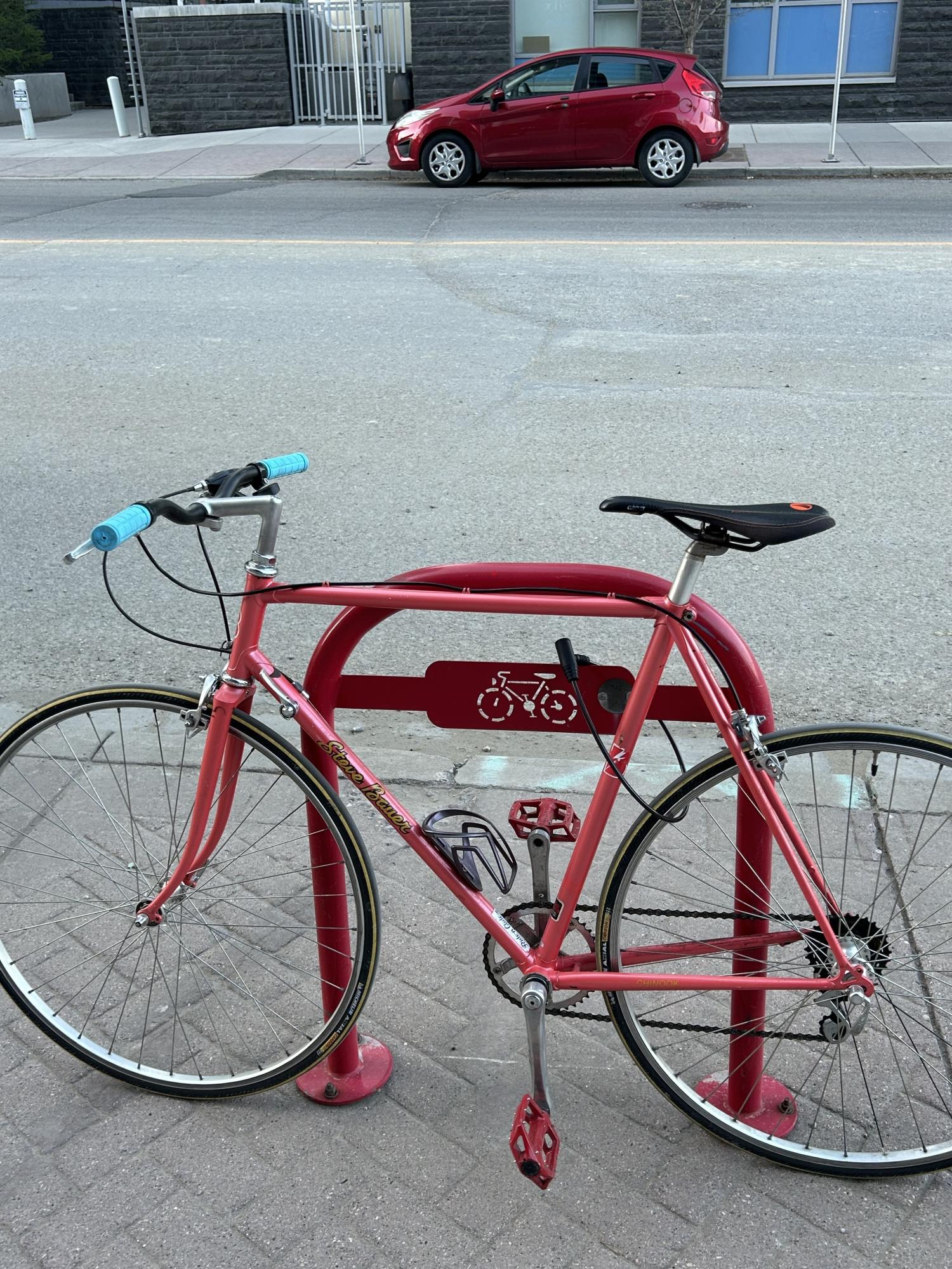 Steve Bauer Cycles Bertrand Pink