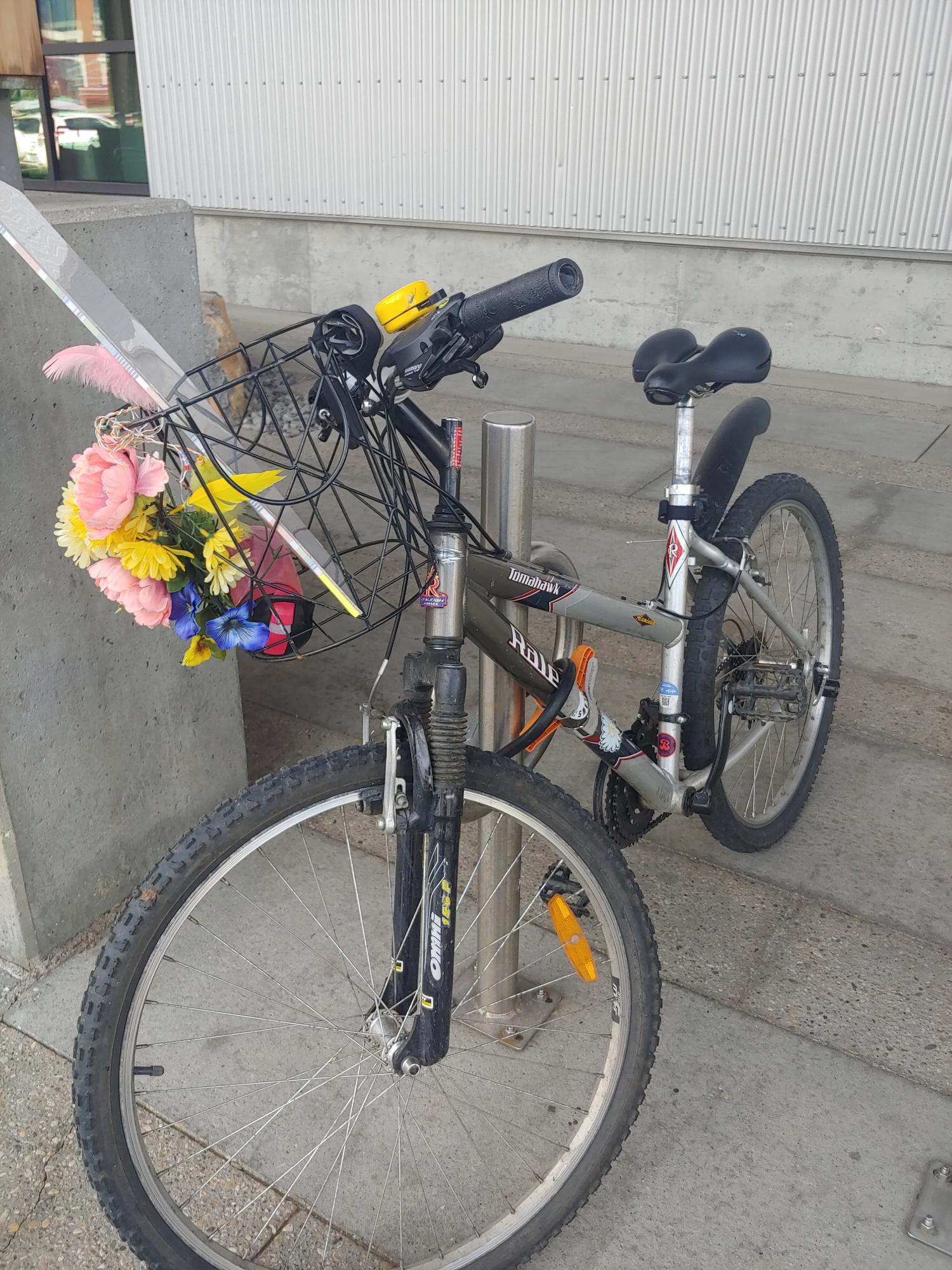 Raleigh Tomahawk Silver, gray or bare metal