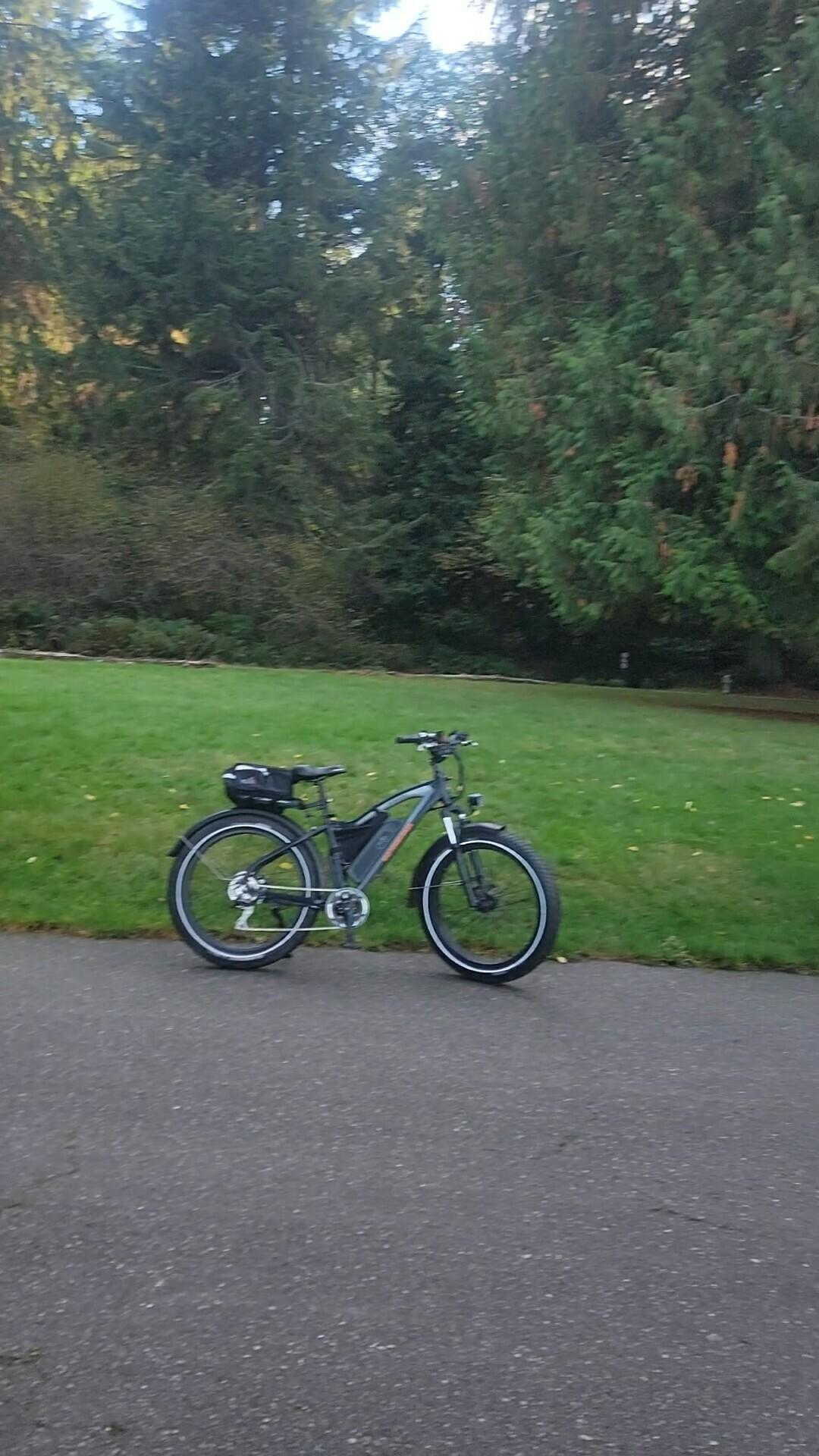 2020 Rad Power Bikes Rad Rover 5 Black