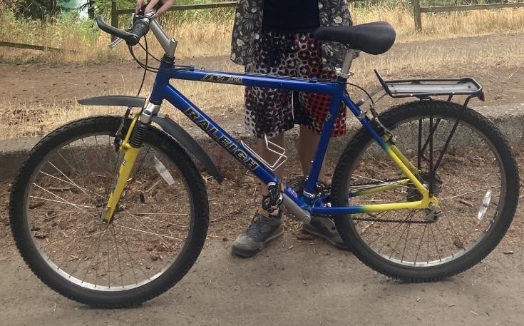 1997 Raleigh M55 Blue