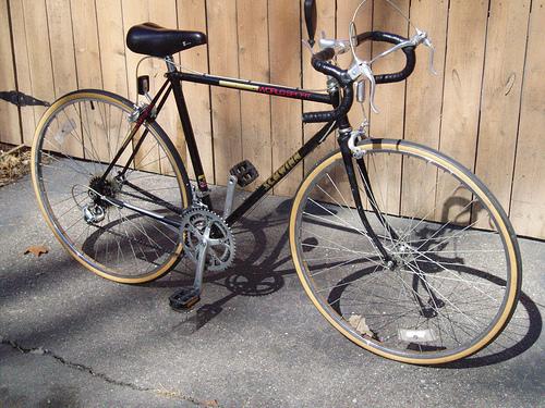 Schwinn World Sport  Black