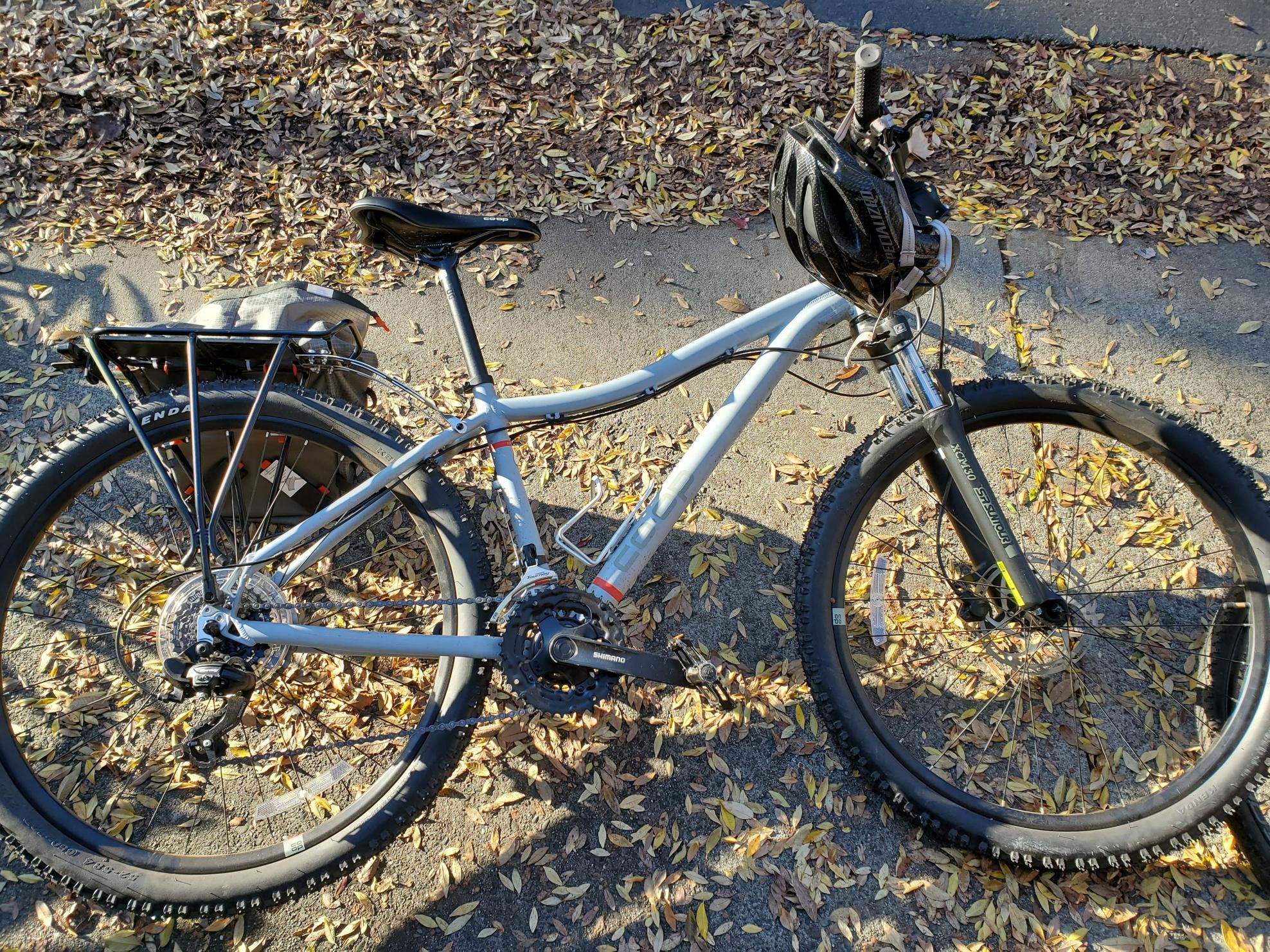 2021 REI Co-op DRT 1.1 White, Silver, gray or bare metal, and Red