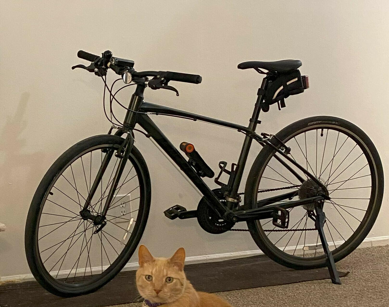 2020 Giant Escape Green