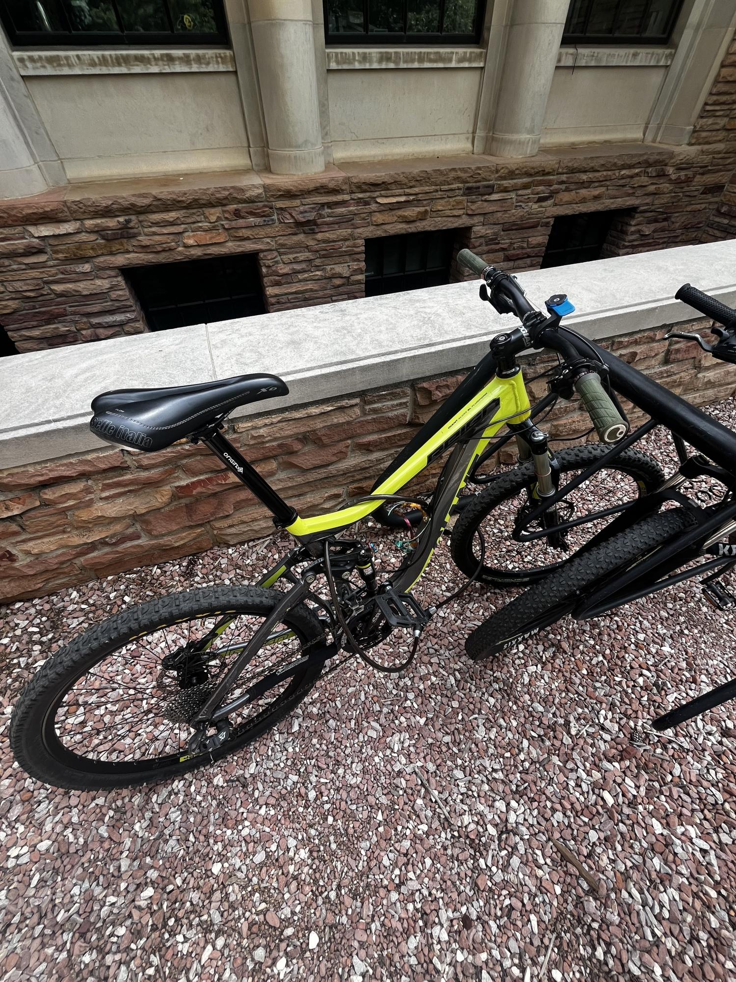 Giant Reign 2 Green, Yellow or Gold, and Silver, gray or bare metal