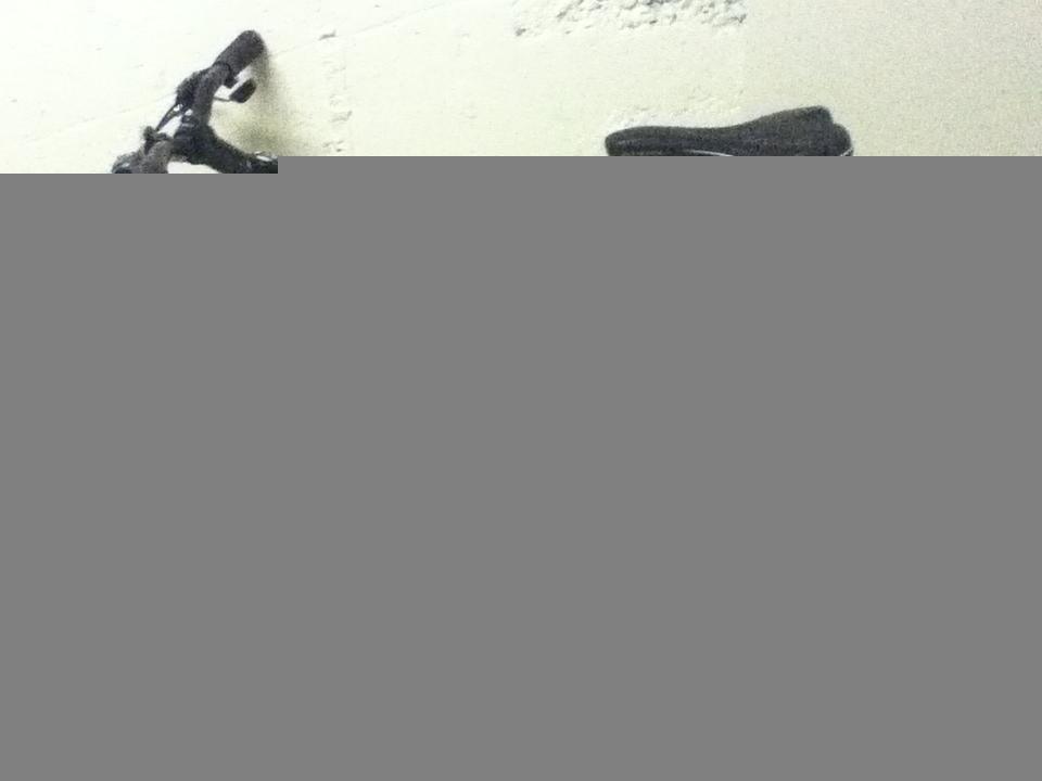 2012 Trek 7.1 FX Silver or Gray