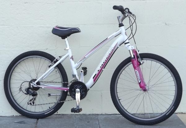 Schwinn #S3401TGG Stickers tape or other cover-up, White, and Pink