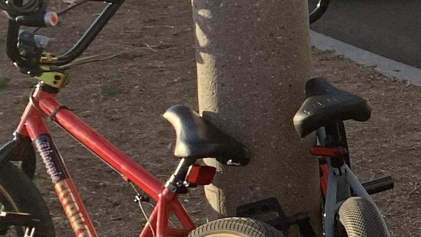 Fit bike Co. Red