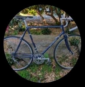 1980 Davidson Blue