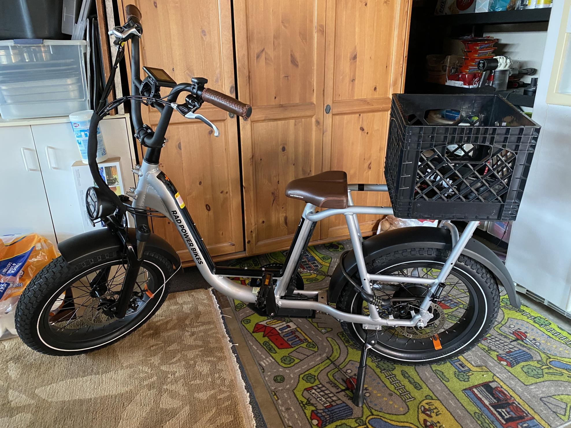 2021 Rad Power Bikes RadRunner Plus Silver, gray or bare metal